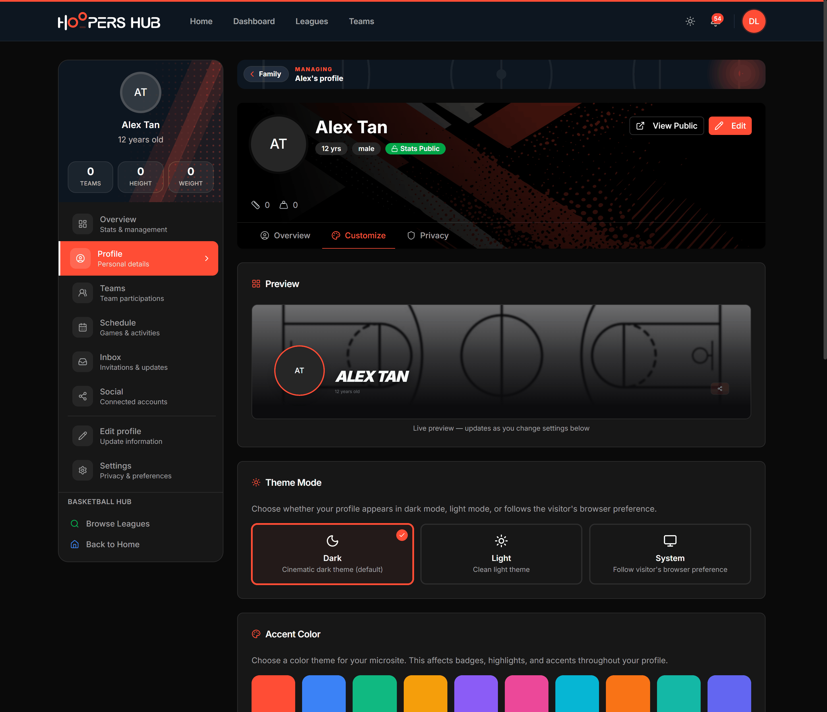 The Customize tab showing the preview panel and the theme mode, accent colour, banner image and banner style controls.